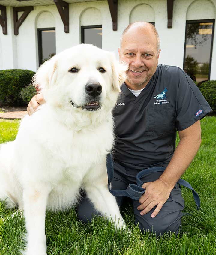 Dr. David Laubert, DVM