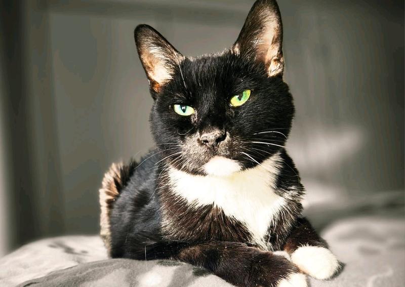 Carousel Slide 2: Learn about our services!